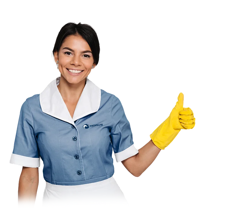 Serviços profissionais de limpeza e facility management